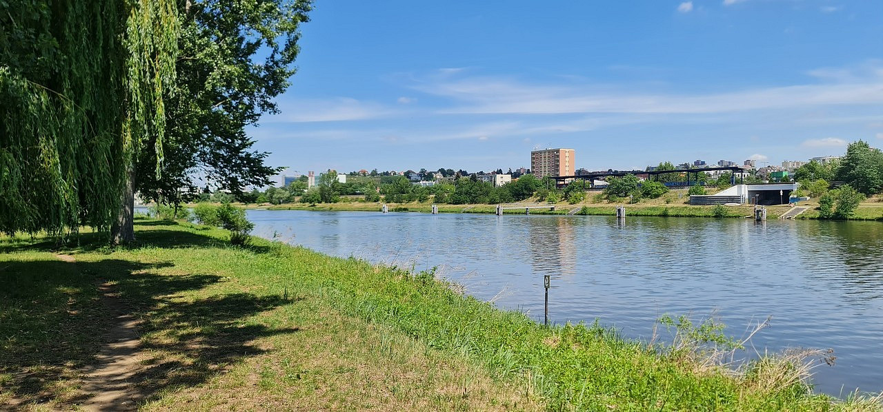 Prodej pozemku 10 828 m² – fotografie 4