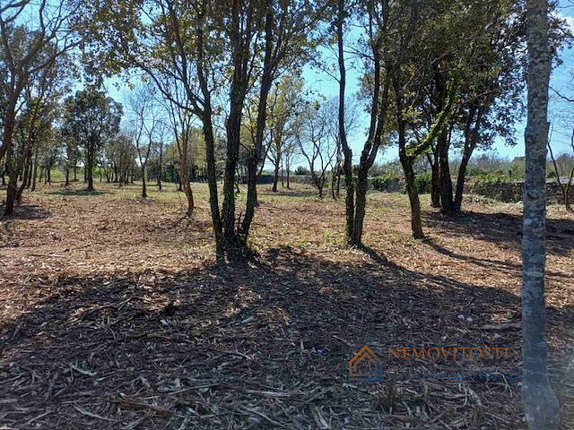 Prodej stavebního pozemku 7 044 m² - Więcej