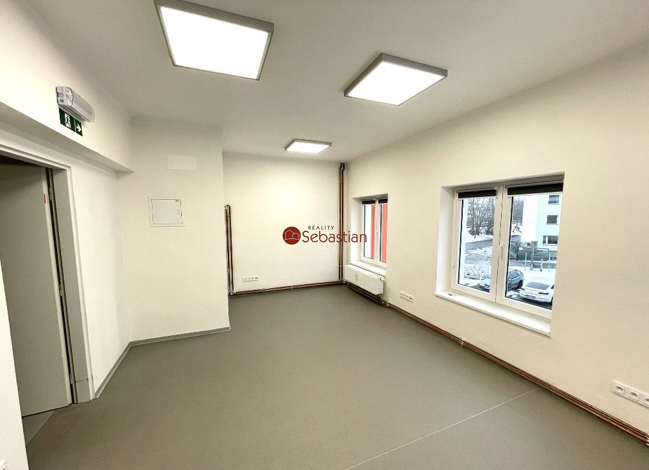 Pronájem obchodních prostor 245 m² — photo 4