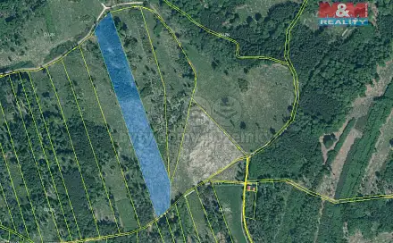 Prodej lesa 36 550 m², Jetětice, okres Písek