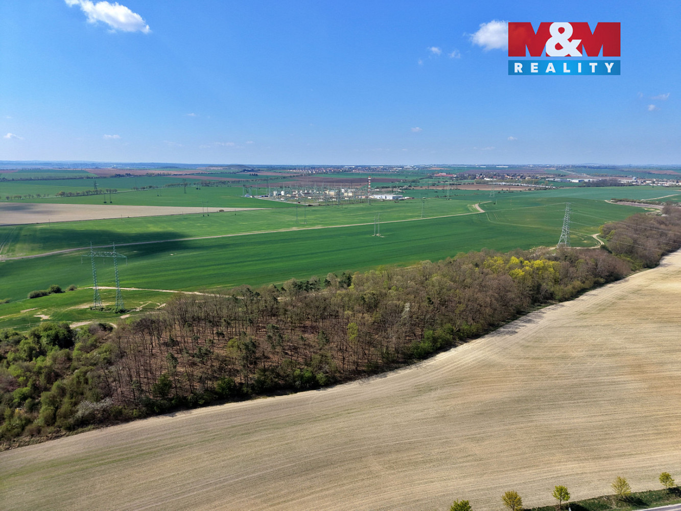 Prodej lesa 4 629 m² — photo 4
