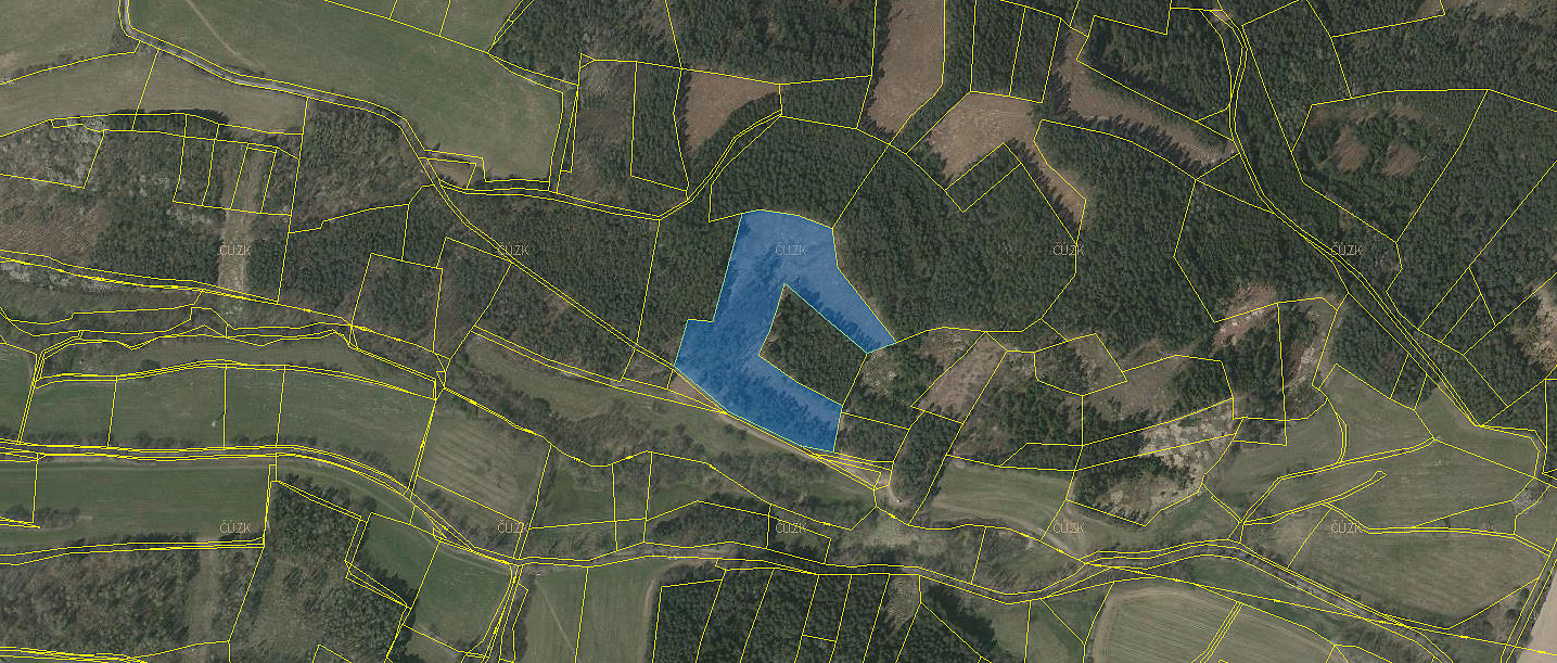 Prodej lesa 26 262 m² — photo 2