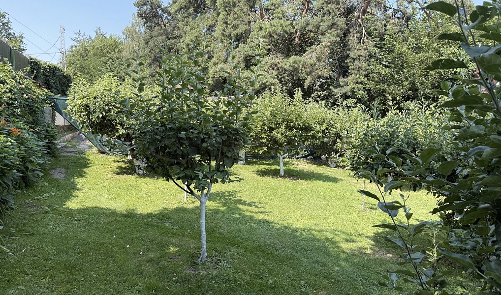 Prodej chaty/chalupy 41 m² s pozemkem 422 m², Boršov nad Vltavou – náhled fotky 8