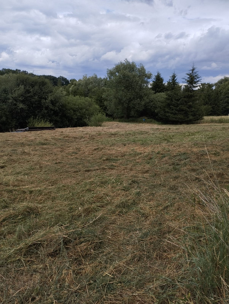 Pronájem louky – pohled 4