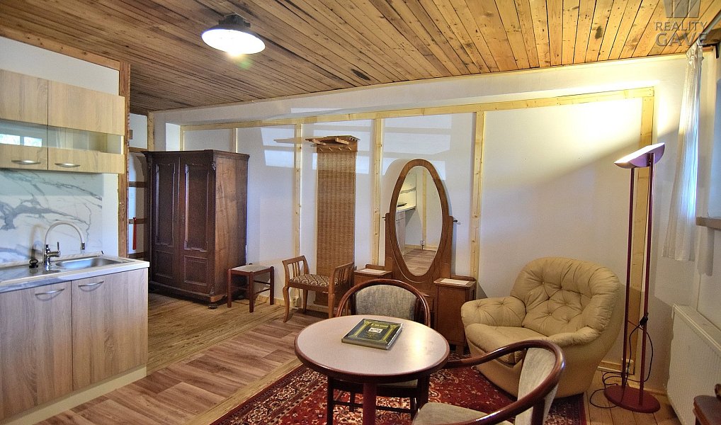Pronájem bytu 1+kk 25 m², Čisovice – náhled fotky 3