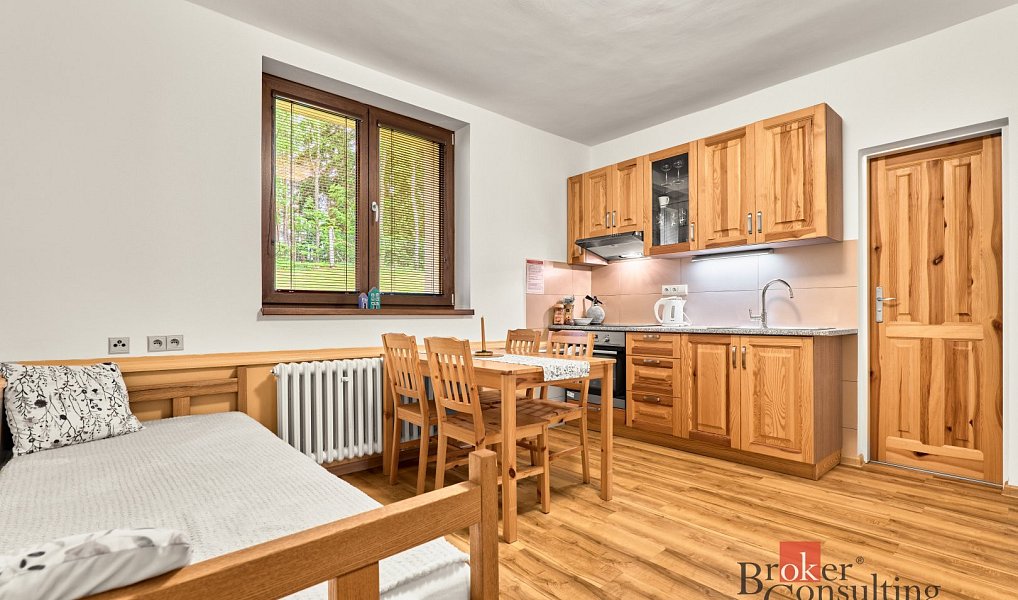 Prodej komerčního objektu (jiného typu) 800 m², Nejdek – náhled fotky 42