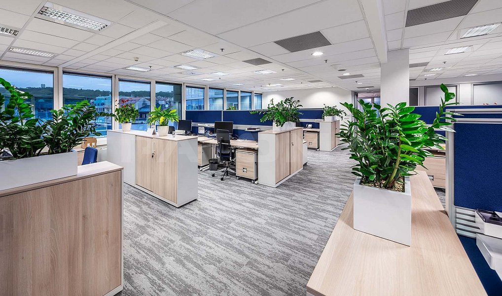 Pronájem kanceláře 607 m², Praha – náhled fotky 12