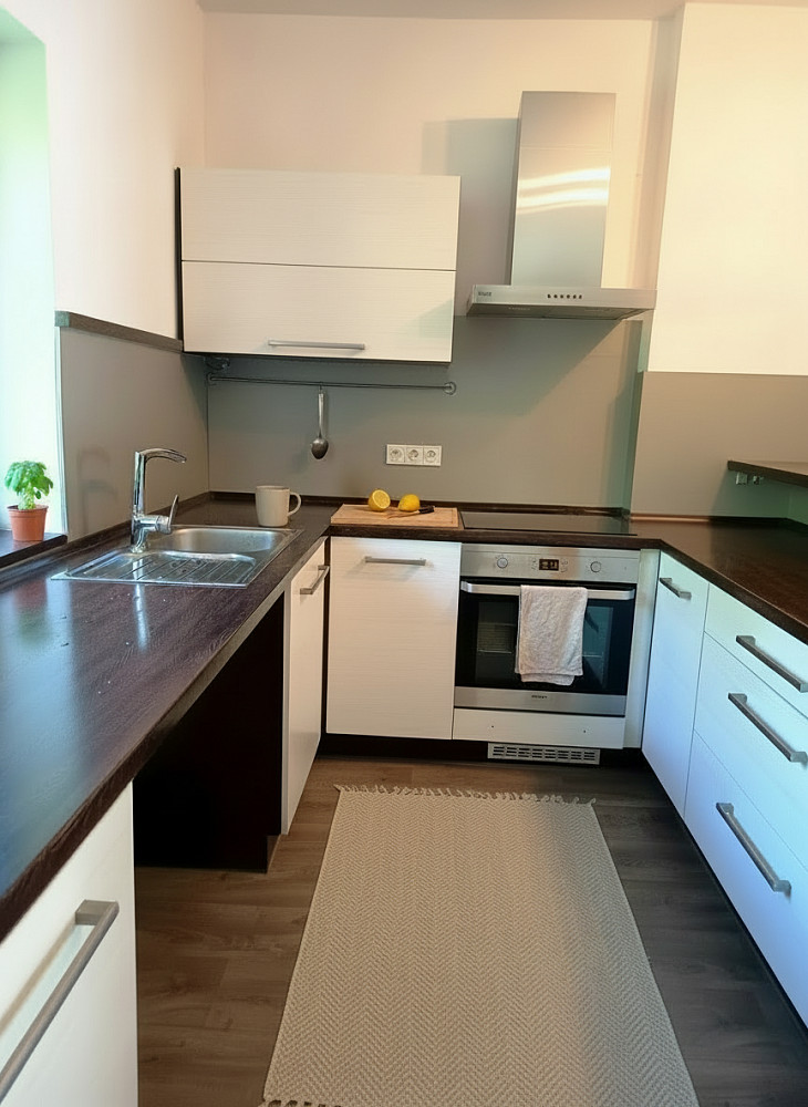 Prodej domu 288 m² s pozemkem 1 100 m² — photo 3
