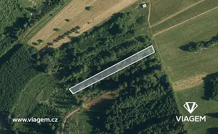 Prodej lesa 743 m², Halenkov, okres Vsetín