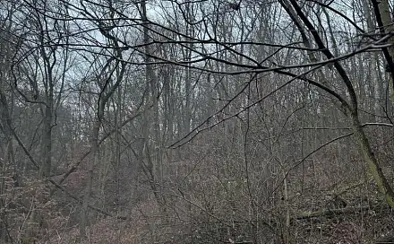 Prodej lesa 1 184 m², Chuderov - Nýřany