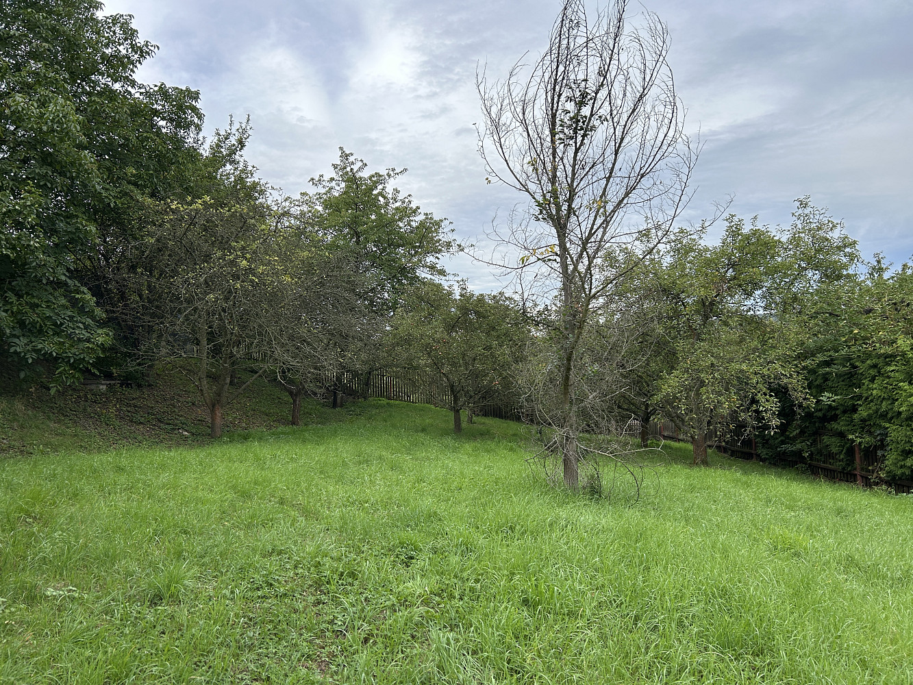 Prodej stavebního pozemku 1 252 m²