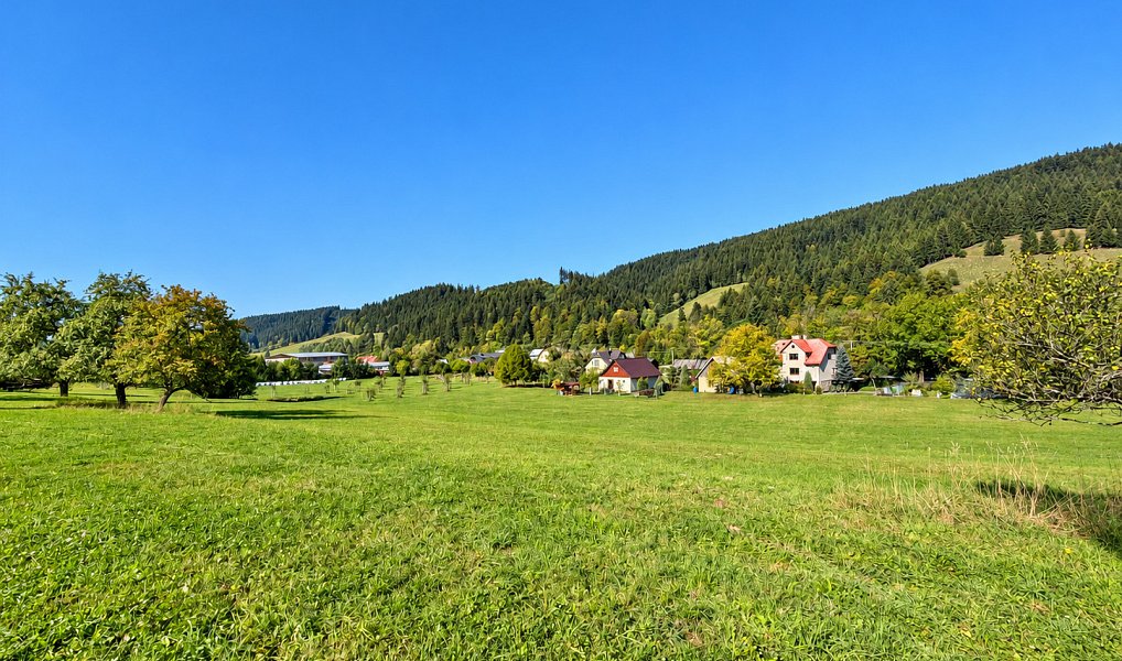 Prodej stavebního pozemku 3 256 m², Velké Karlovice – náhled fotky 10
