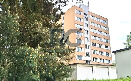 Pronájem bytu 1+1 40 m², Dr. M. Horákové, Písek - Budějovické Předměstí