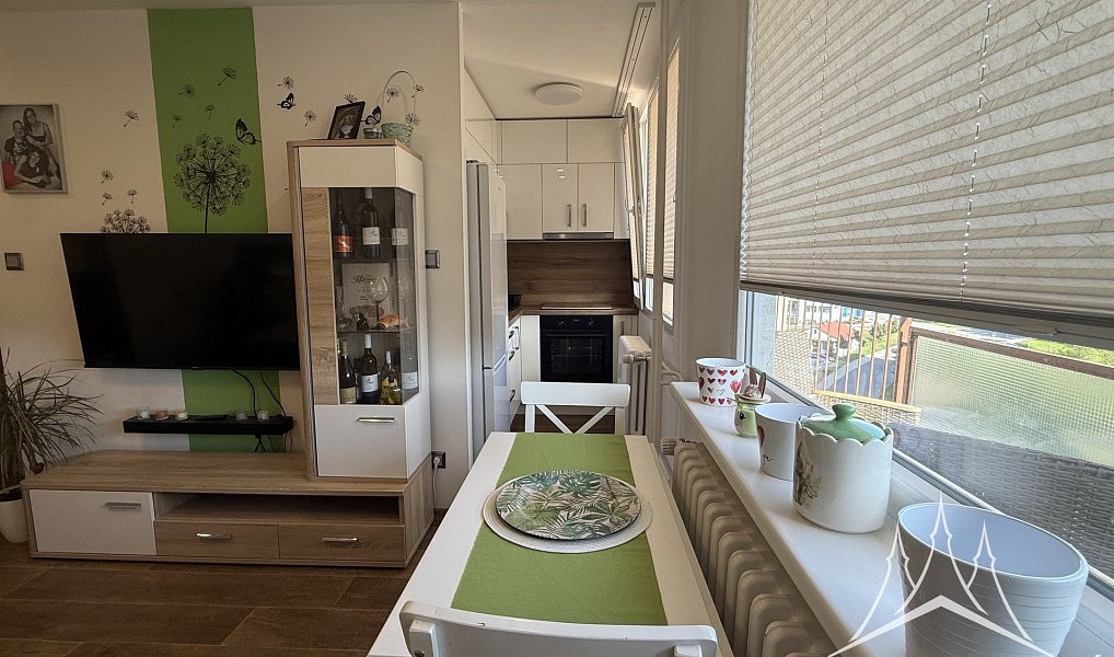 Pronájem bytu 1+kk 25 m², Zruč nad Sázavou – náhled fotky 8