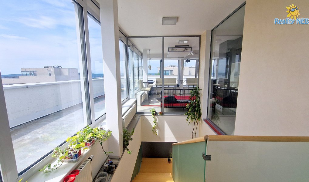 Prodej bytu 4+kk 446 m², Brno – náhled fotky 23