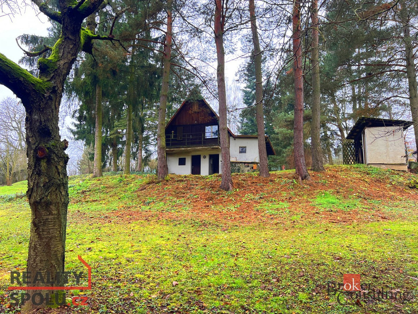 Prodej pozemku 4 878 m² – další