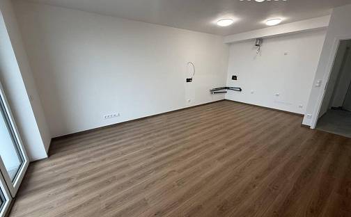 Pronájem bytu 2+kk 60 m², Antonína Petrofa, Hradec Králové - Nový Hradec Králové