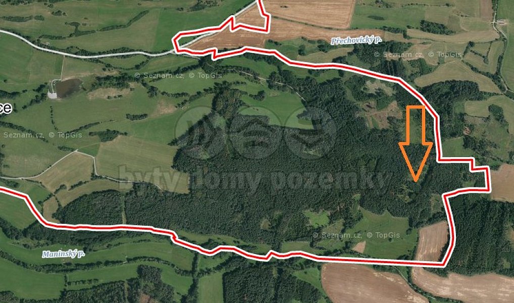 Prodej lesa 22 084 m², Přechovice – náhled fotky 3