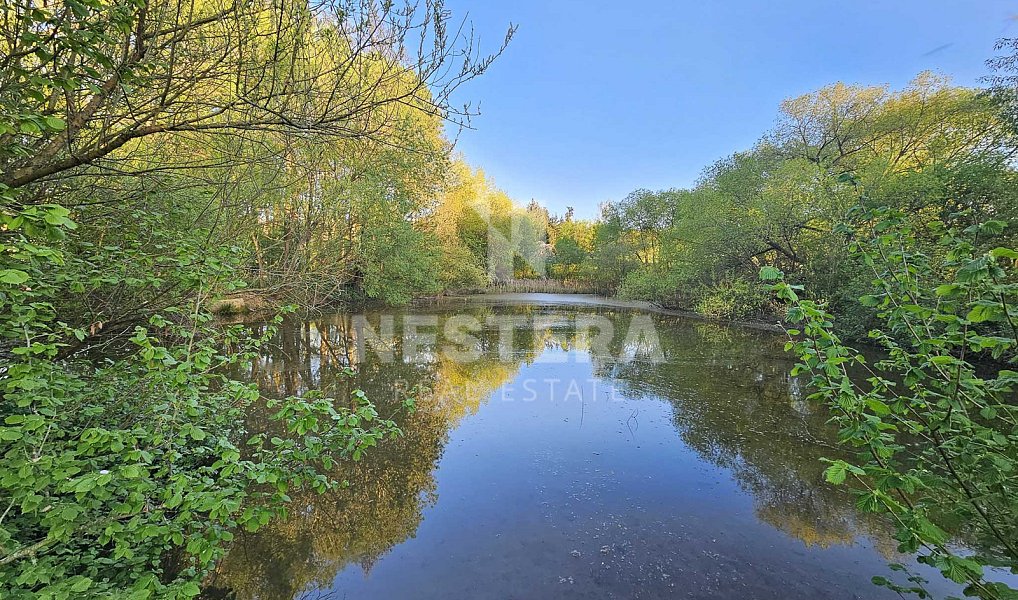 Prodej domu 650 m² s pozemkem 6 496 m², Slapy – náhled fotky 9