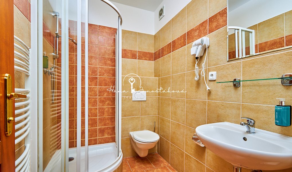 Prodej ubytovacího objektu 270 m², Český Krumlov – náhled fotky 18
