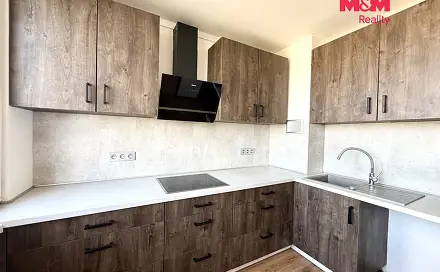 Pronájem bytu 3+1 66 m², Javorová, Most