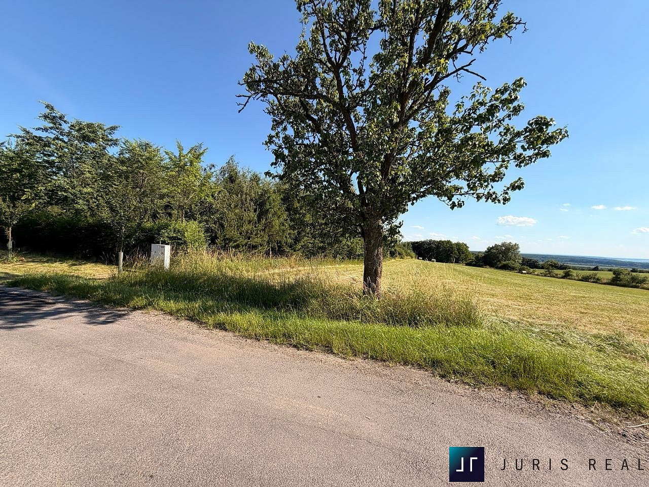 Fotka 6 z 8