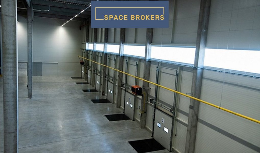 Pronájem skladovacích prostor 14 100 m², Dašice – náhled fotky 4
