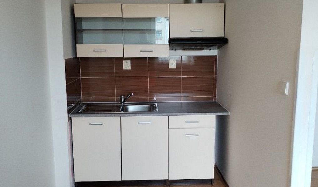 Pronájem bytu 1+kk 19 m², Ústí nad Labem – náhled fotky 6
