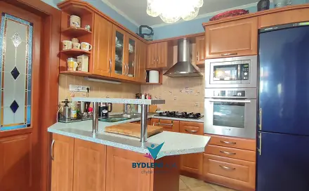 Prodej bytu 3+1 100 m², U zámku, Teplice