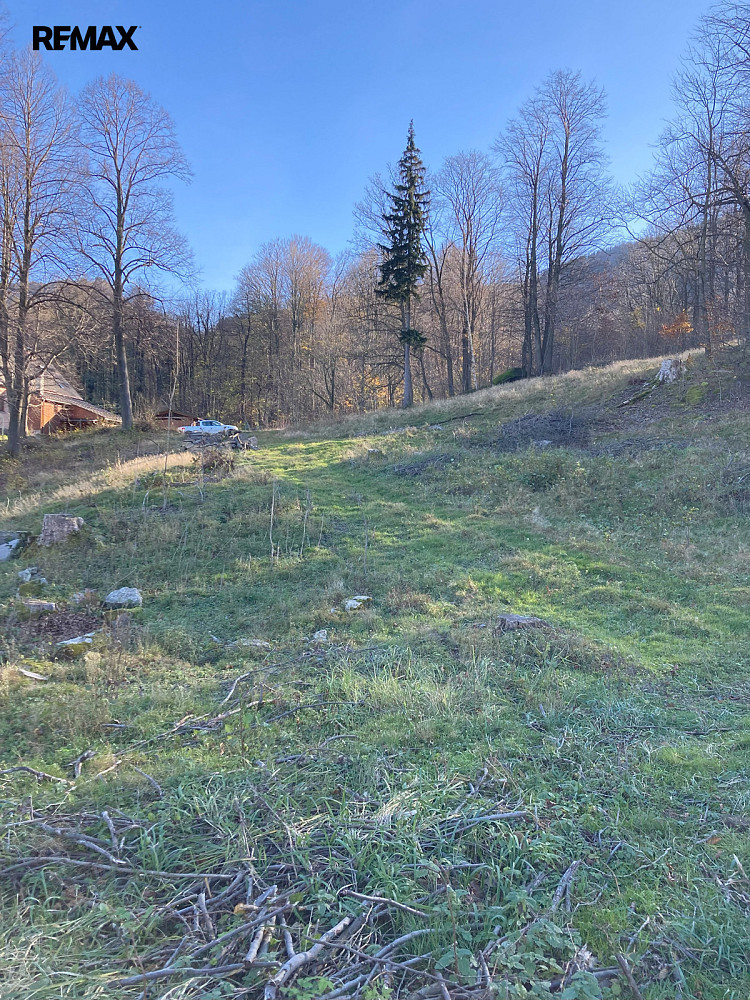 Prodej pozemku 6 645 m² — photo 4