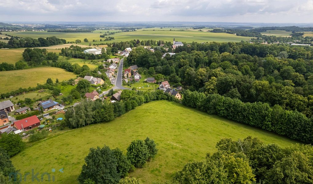 Prodej louky 1 566 m², Vlčice – náhled fotky 3