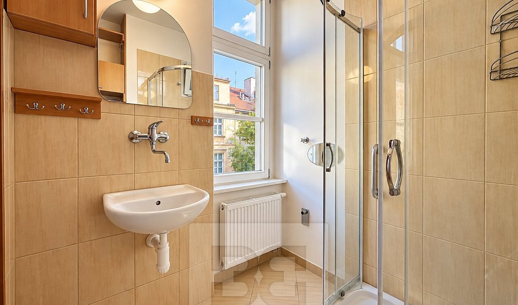 Pronájem bytu 1+1 38 m², Praha – náhled fotky 5