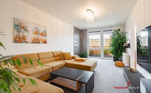 Prodej bytu 3+1 84 m², Hradec Králové