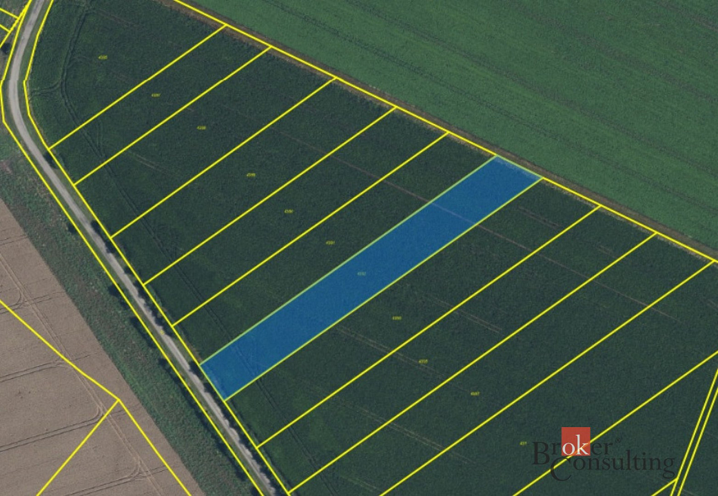 Prodej pole 28 045 m² – fotografie 4