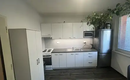 Pronájem bytu 1+1 50 m², U Trojáku, Zlín