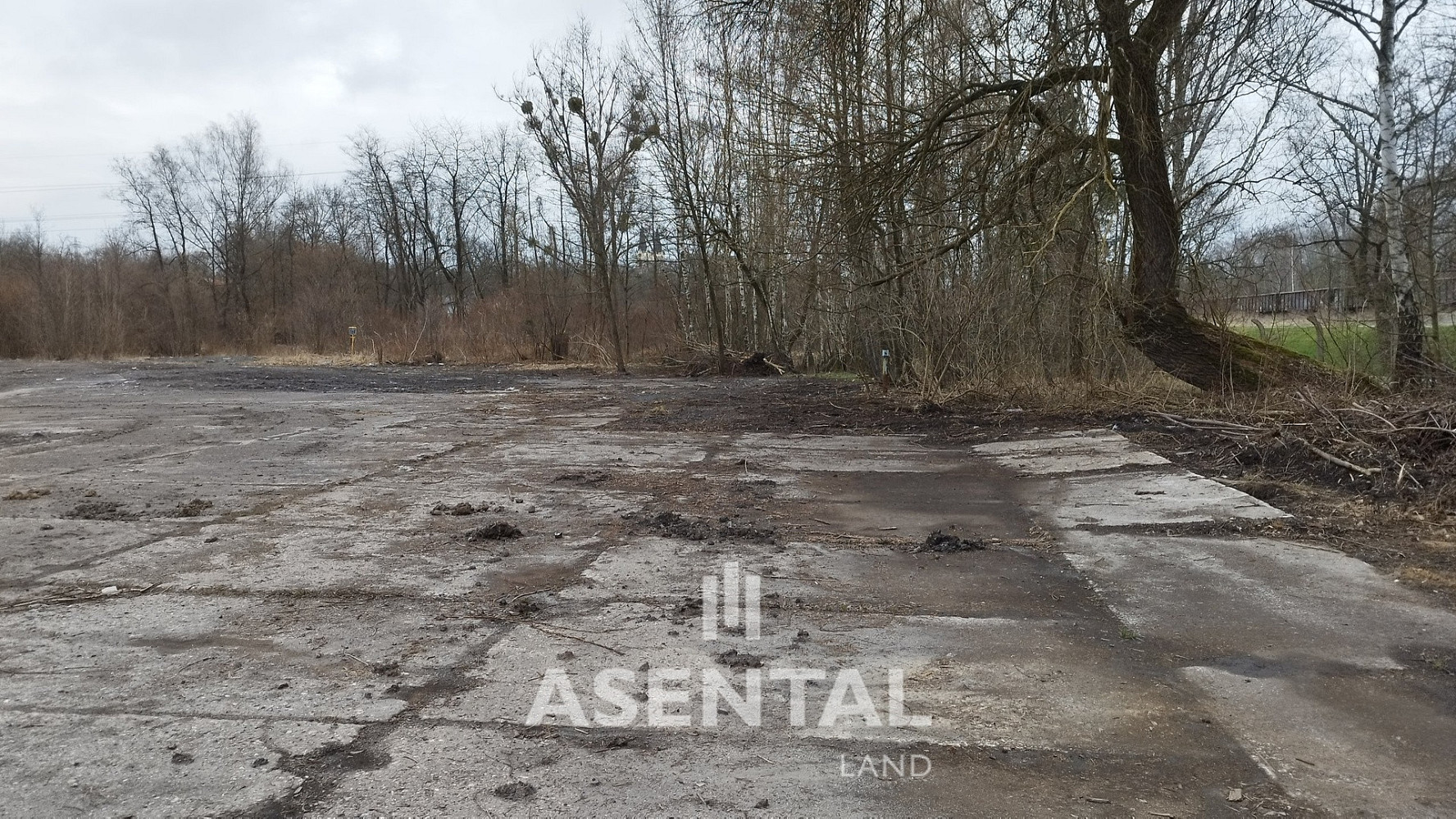 Prodej komerčního pozemku 22 913 m² – fotografie 2