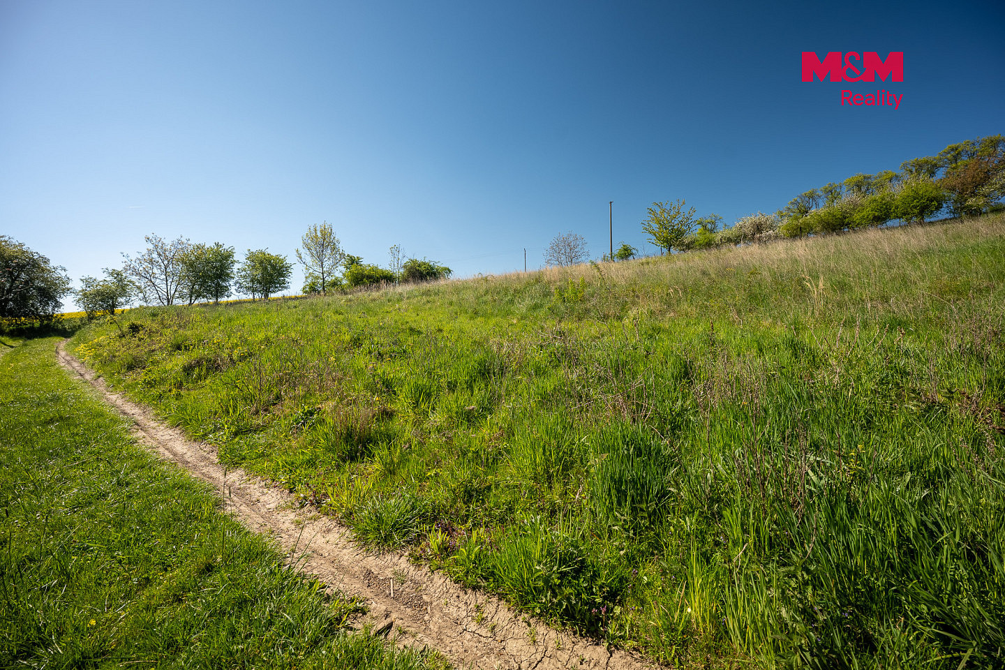 Prodej stavebního pozemku 3 259 m² – fotografie 4