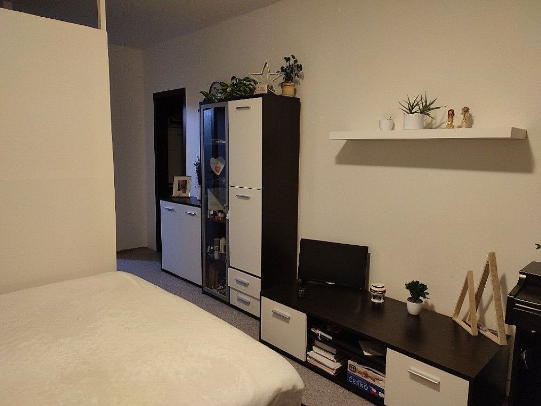 Prodej bytu 1+kk 30 m² — photo 5