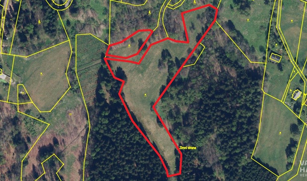 Prodej louky 14 908 m², Bartošovice v Orlických horách – náhled fotky 2