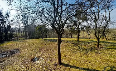 Prodej stavebního pozemku 3 362 m², Vítonice, okres Kroměříž