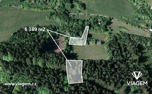 Prodej lesa 6 389 m², Lopeník, okres Uherské Hradiště