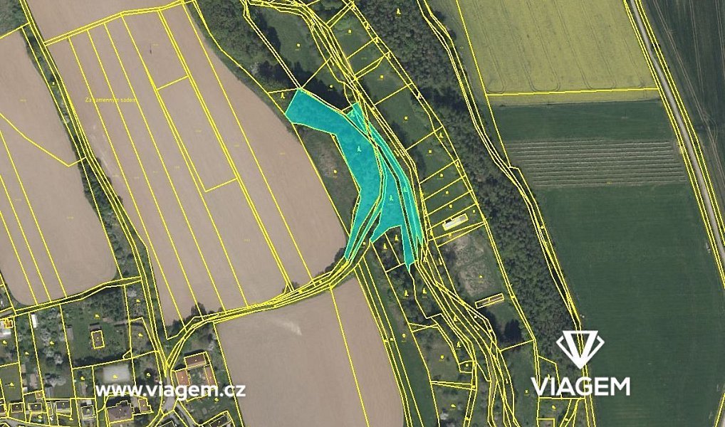 Prodej lesa 586 m², Velký Třebešov – fotka 1 z 5