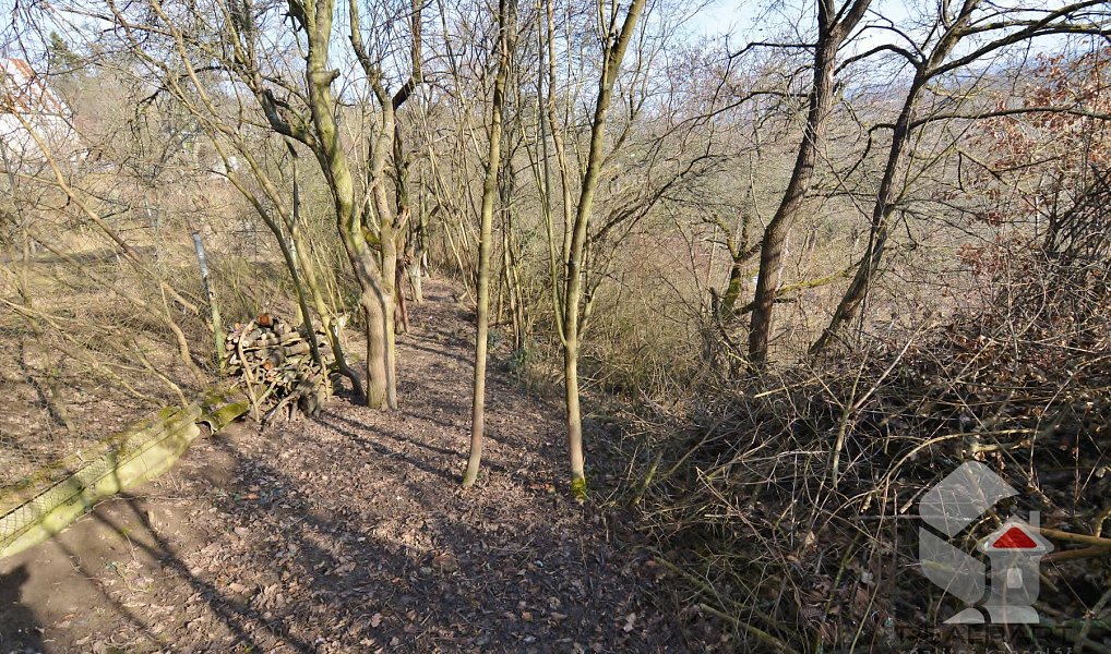 Prodej zahrady 207 m², Brno – náhled fotky 2