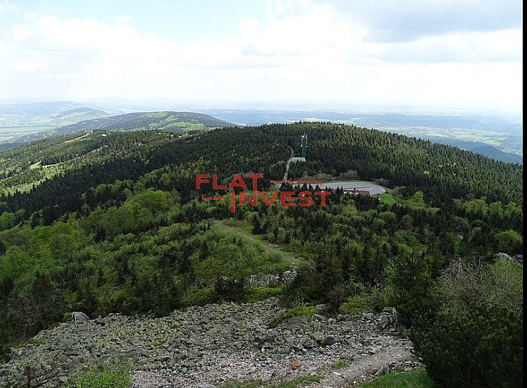 Prodej lesa 12 712 m²