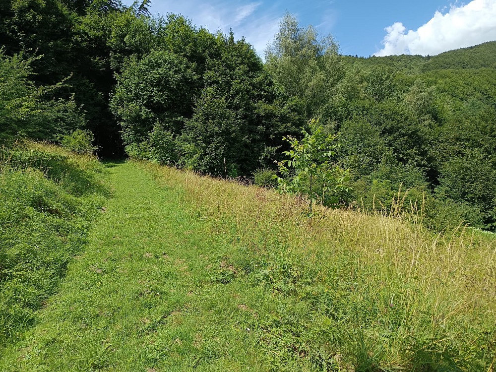 Prodej pozemku 42 844 m² – fotografie 2