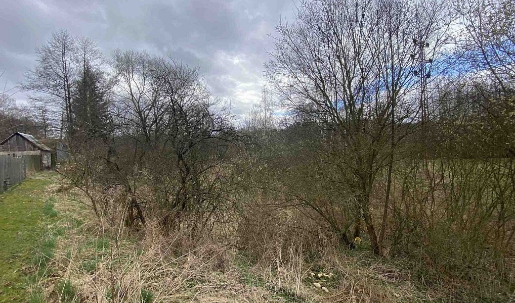 Prodej pozemku 1 436 m², Mimoň – fotka 1 z 8