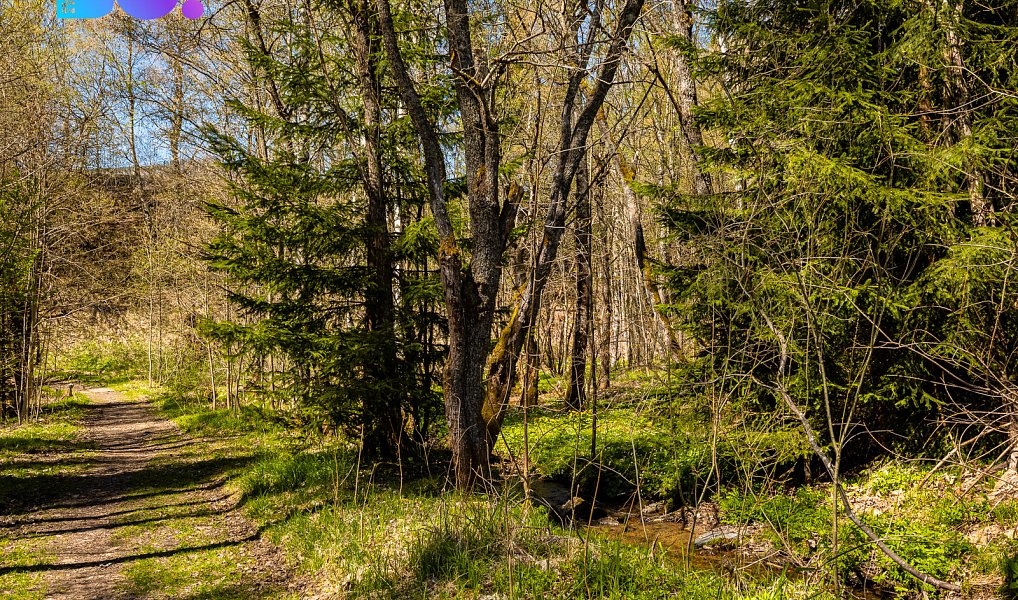 Prodej stavebního pozemku 2 509 m², Železná Ruda – náhled fotky 10