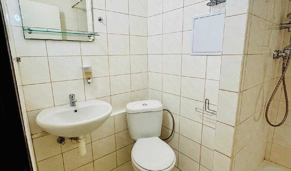 Pronájem bytu 1+kk 20 m², Brno – náhled fotky 4