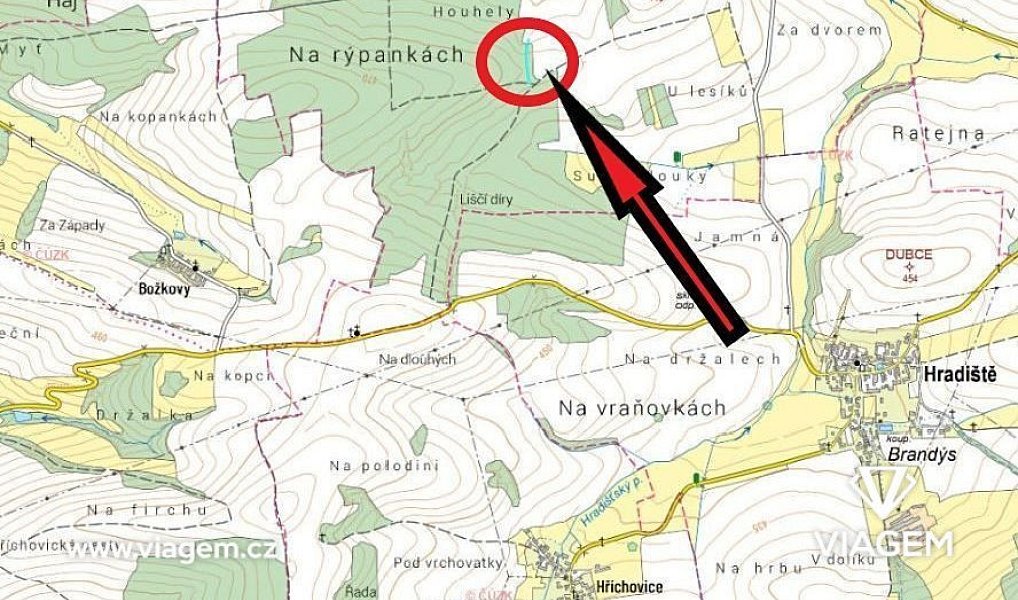 Prodej lesa 1 490 m², Blížejov – náhled fotky 4