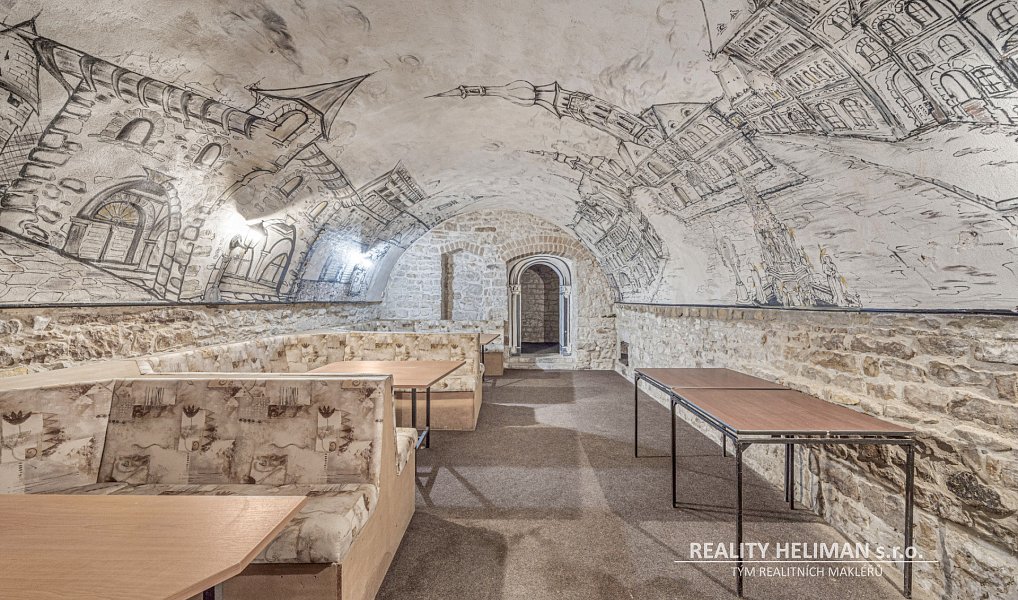 Prodej domu 878 m² s pozemkem 839 m², Žatec – náhled fotky 14